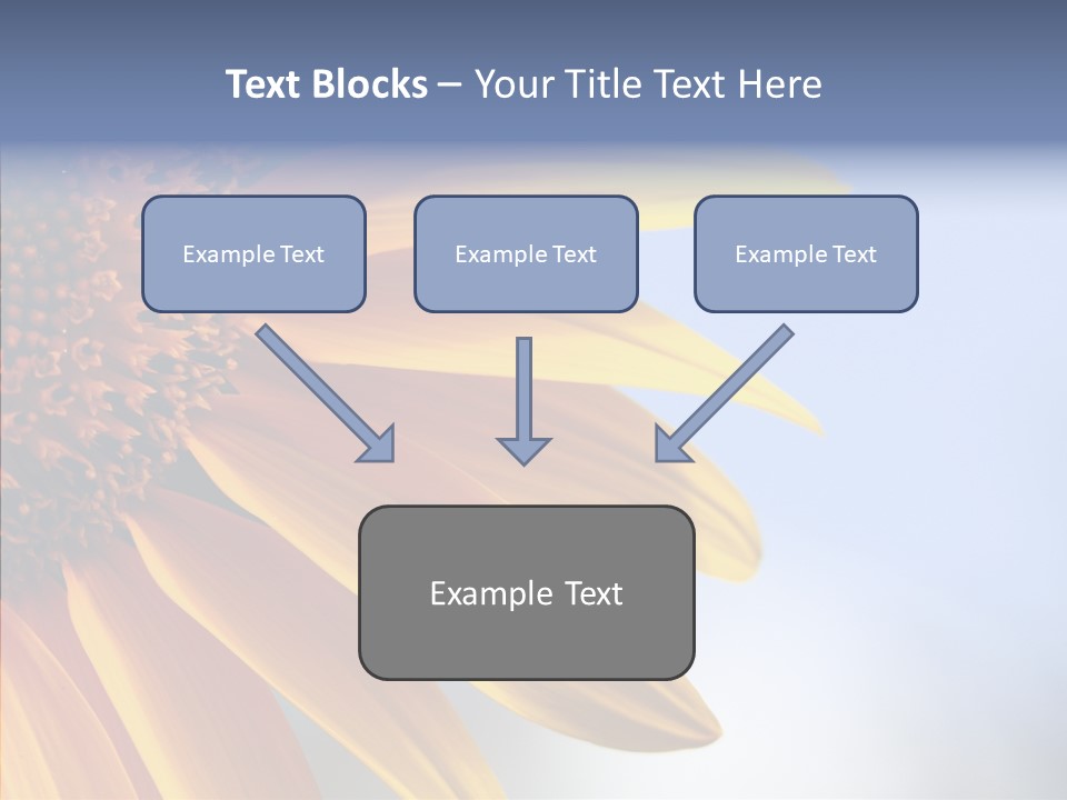 Garden Macro Flora PowerPoint Template