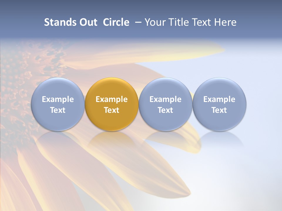 Garden Macro Flora PowerPoint Template