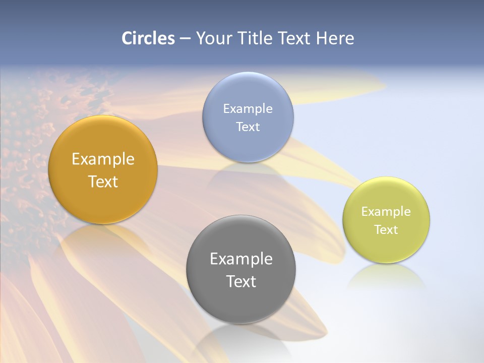 Garden Macro Flora PowerPoint Template