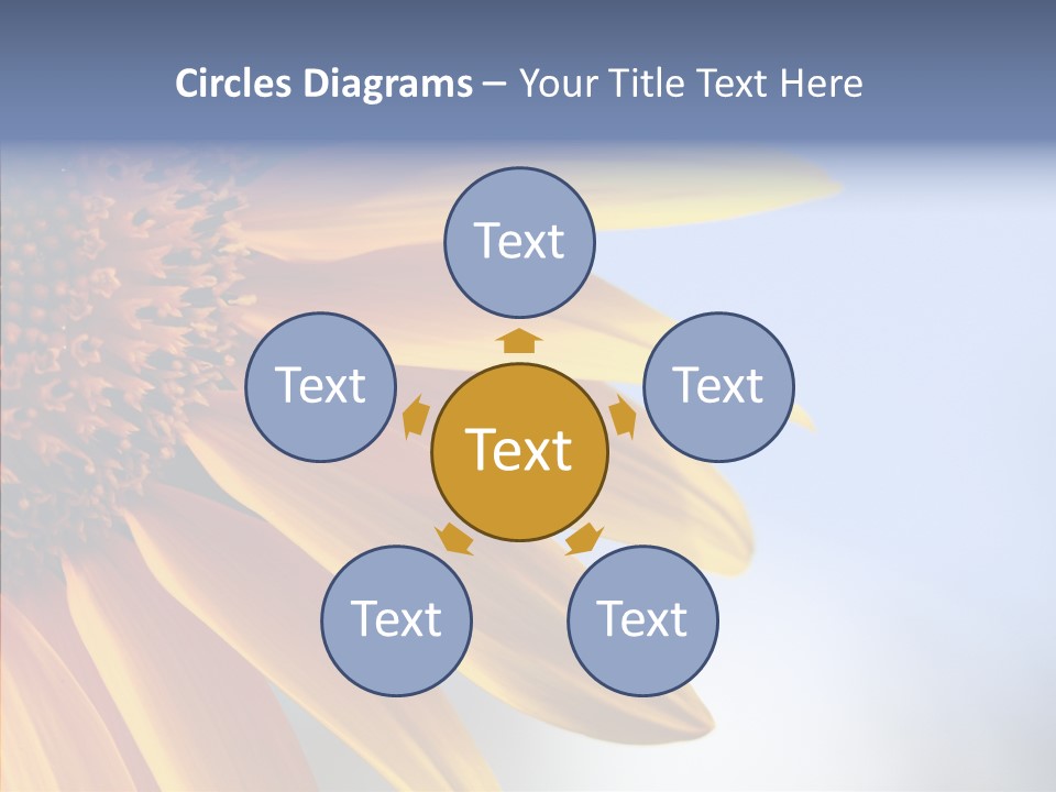 Garden Macro Flora PowerPoint Template