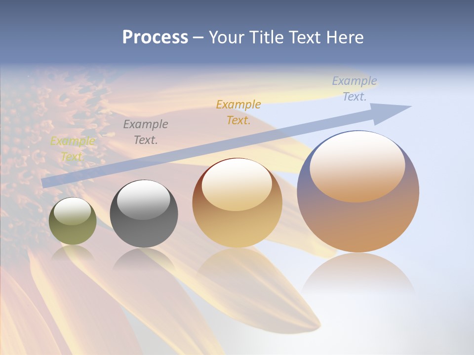 Garden Macro Flora PowerPoint Template