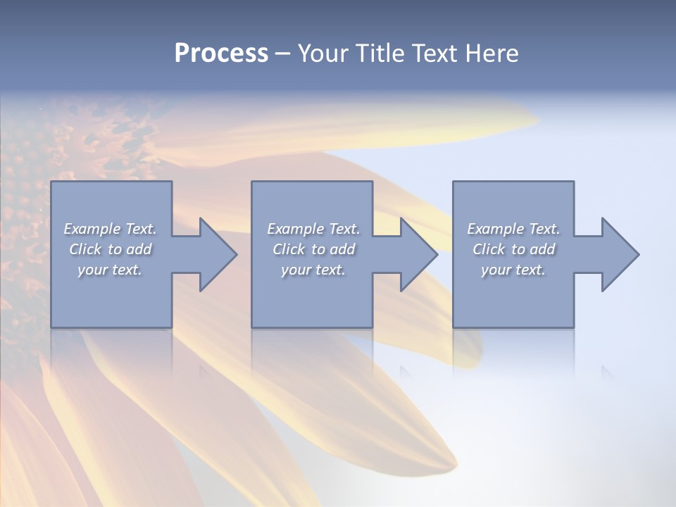 Garden Macro Flora PowerPoint Template