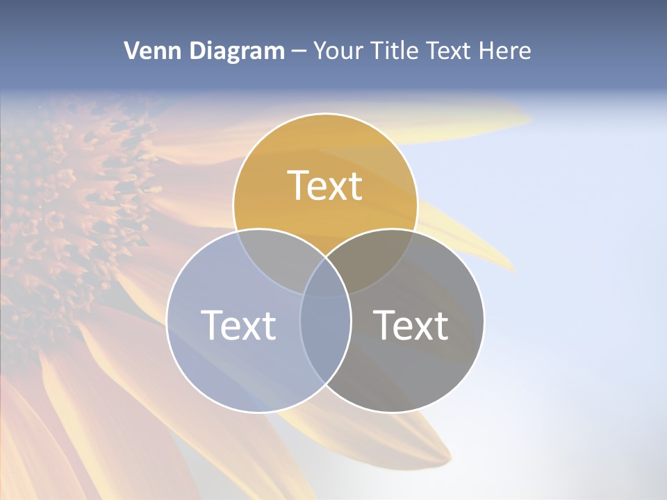 Garden Macro Flora PowerPoint Template