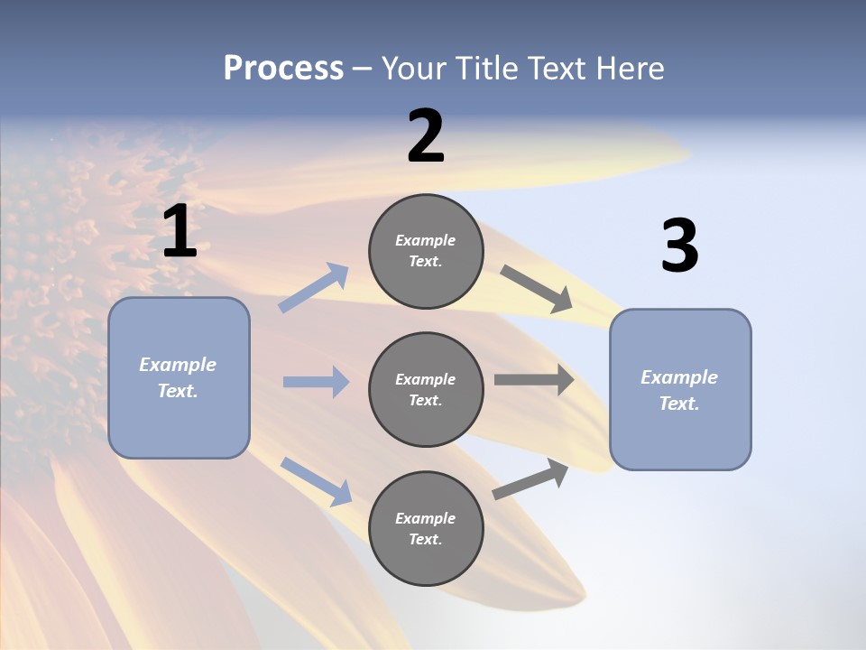 Garden Macro Flora PowerPoint Template