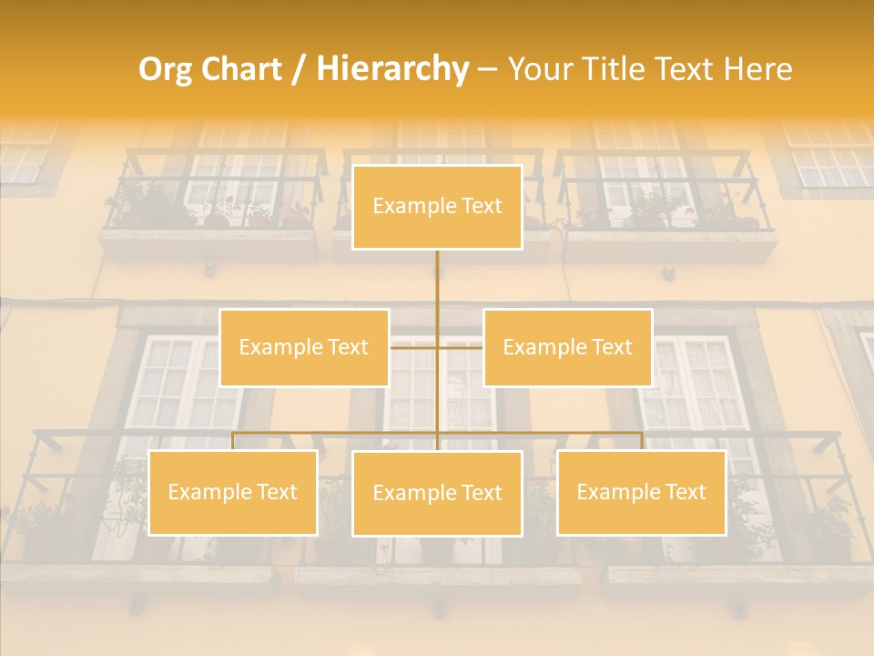 Live Amalia Design PowerPoint Template
