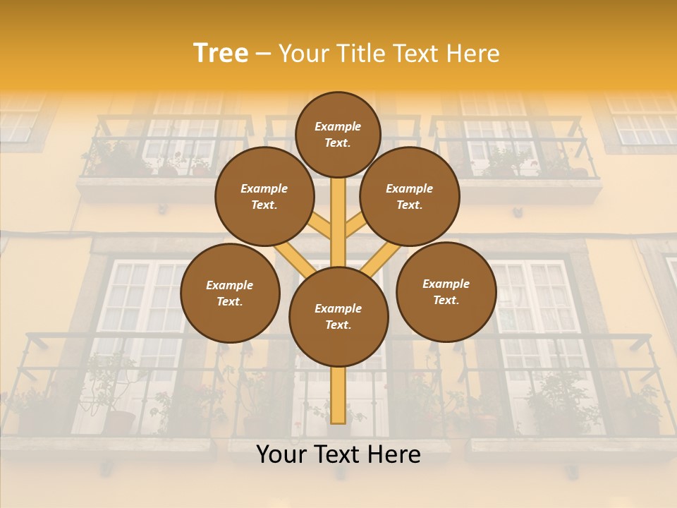 Live Amalia Design PowerPoint Template