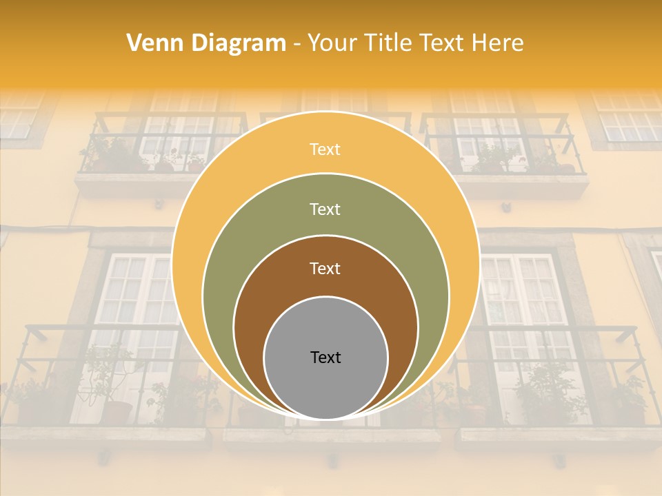 Live Amalia Design PowerPoint Template