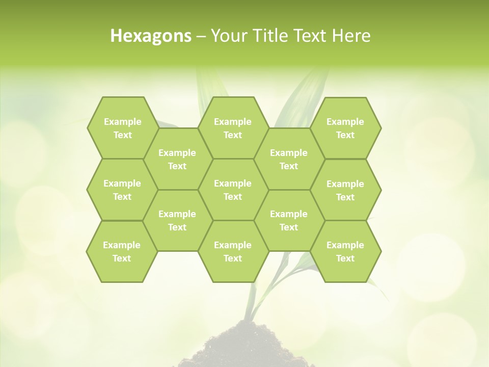 Weather Design Vibrant PowerPoint Template