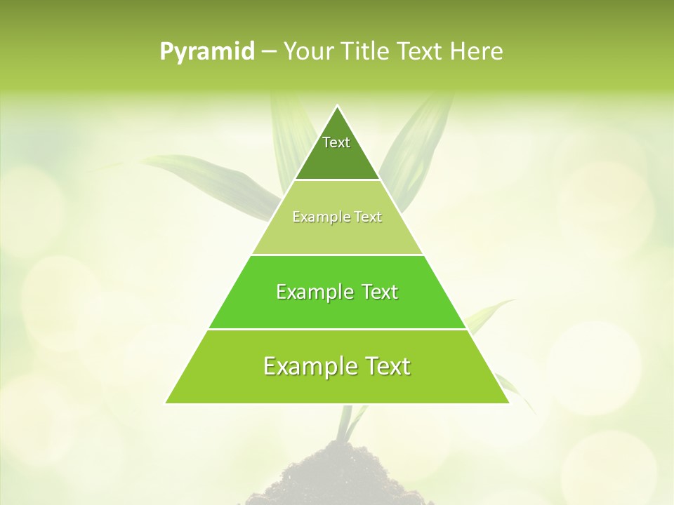 Weather Design Vibrant PowerPoint Template