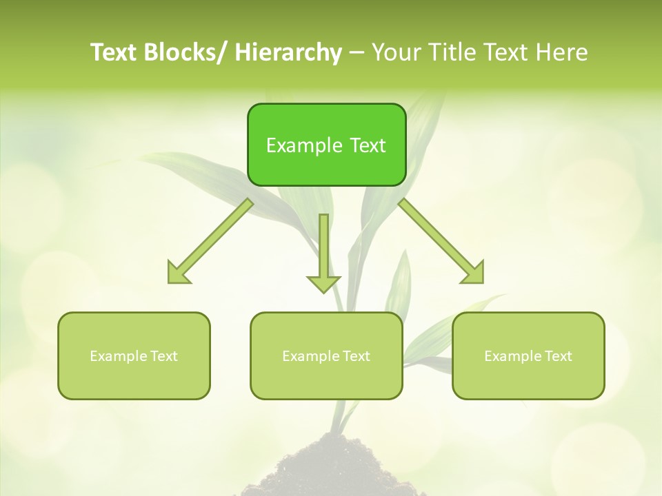 Weather Design Vibrant PowerPoint Template