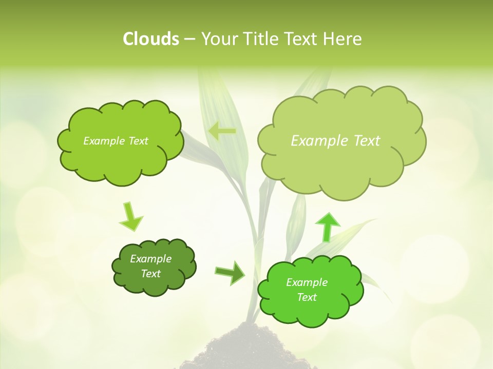 Weather Design Vibrant PowerPoint Template
