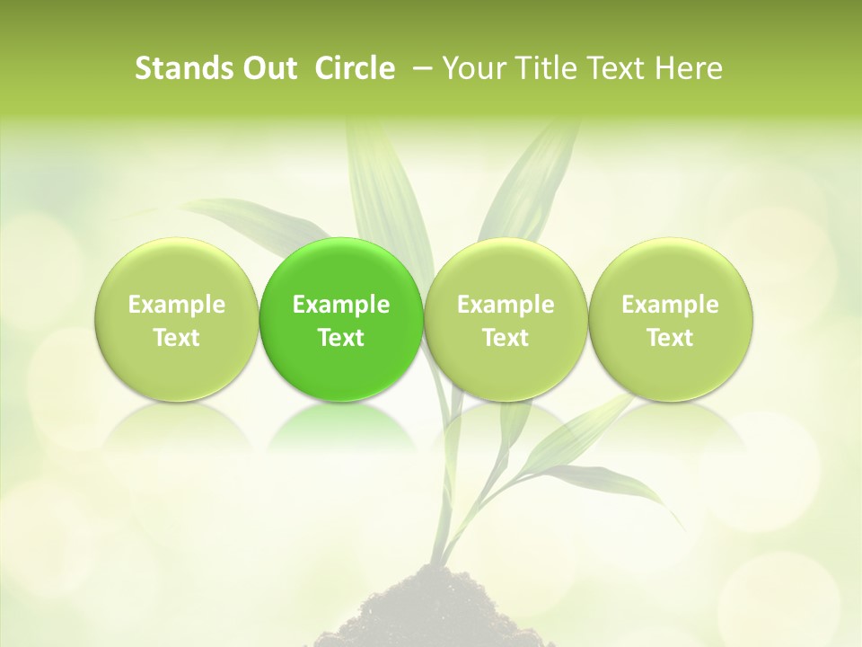 Weather Design Vibrant PowerPoint Template