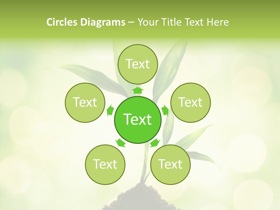 Weather Design Vibrant PowerPoint Template