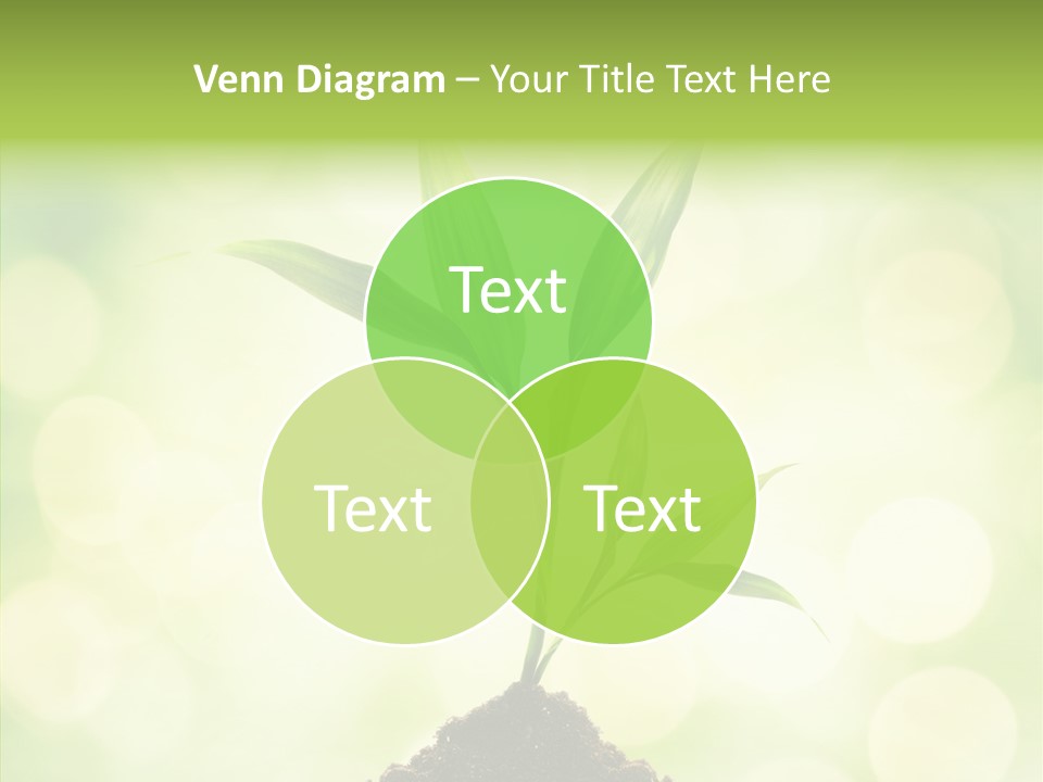 Weather Design Vibrant PowerPoint Template