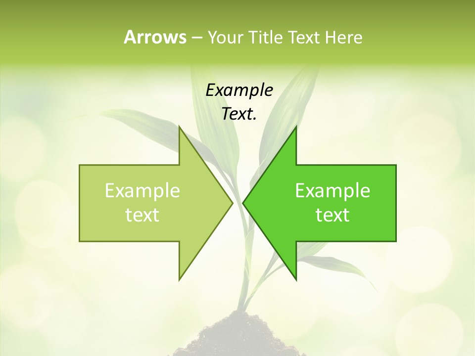 Weather Design Vibrant PowerPoint Template