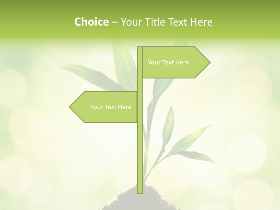 Weather Design Vibrant PowerPoint Template