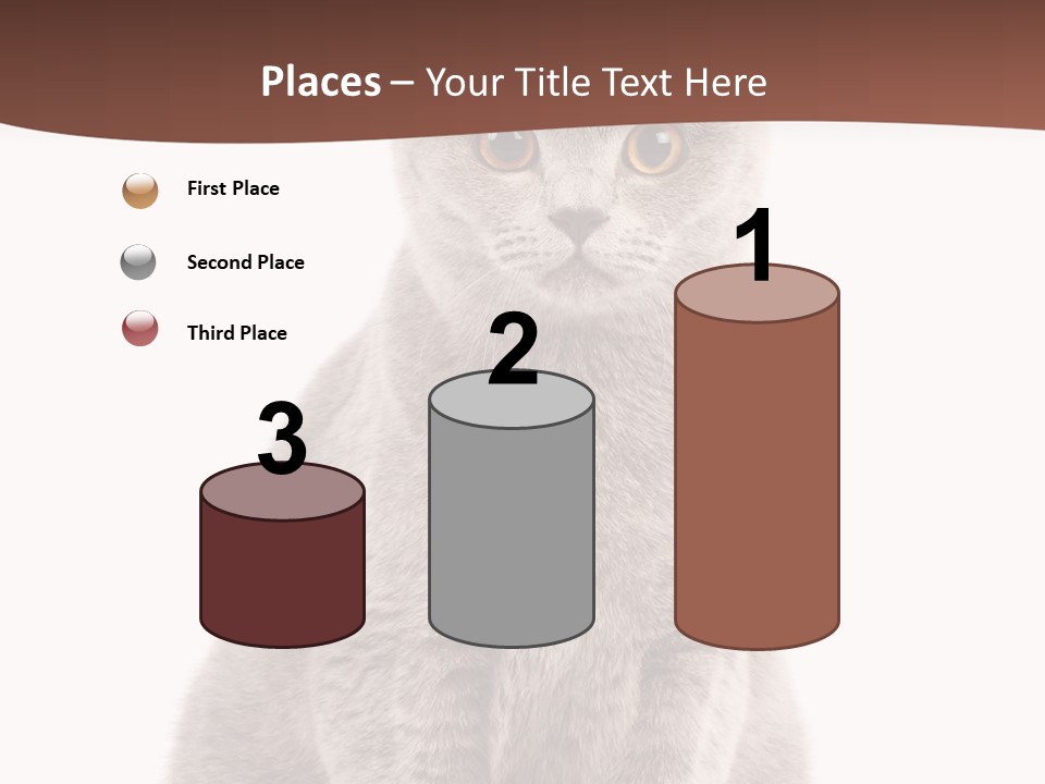 Beautiful Tail Feline PowerPoint Template