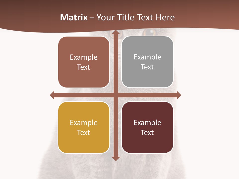 Beautiful Tail Feline PowerPoint Template