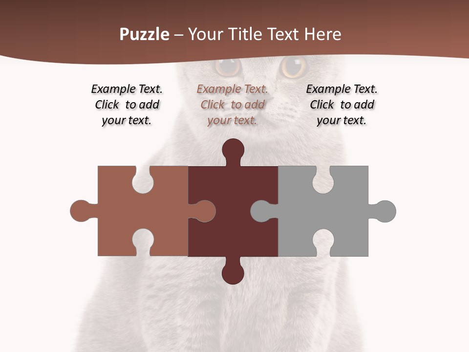 Beautiful Tail Feline PowerPoint Template