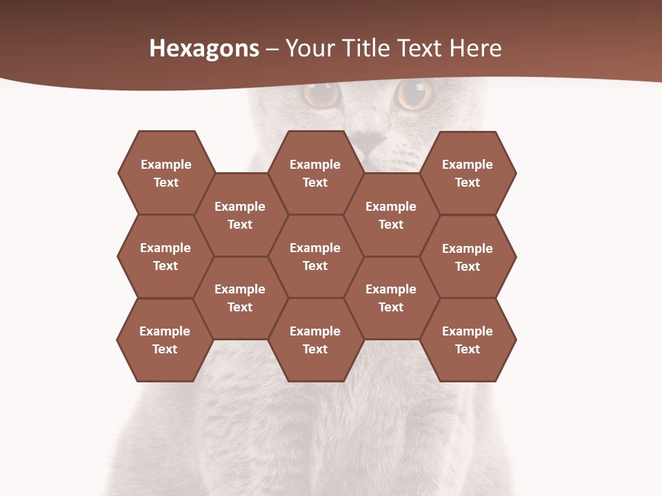 Beautiful Tail Feline PowerPoint Template