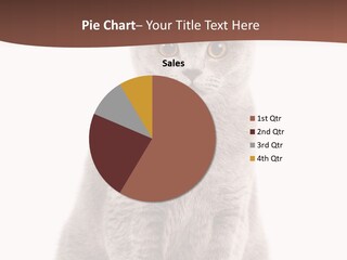 Beautiful Tail Feline PowerPoint Template