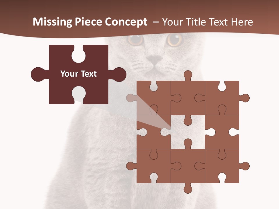 Beautiful Tail Feline PowerPoint Template