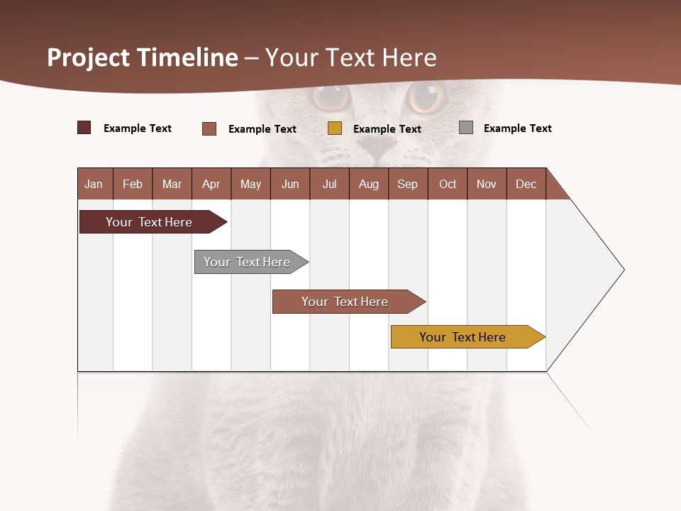 Beautiful Tail Feline PowerPoint Template