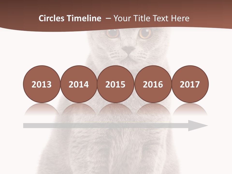 Beautiful Tail Feline PowerPoint Template