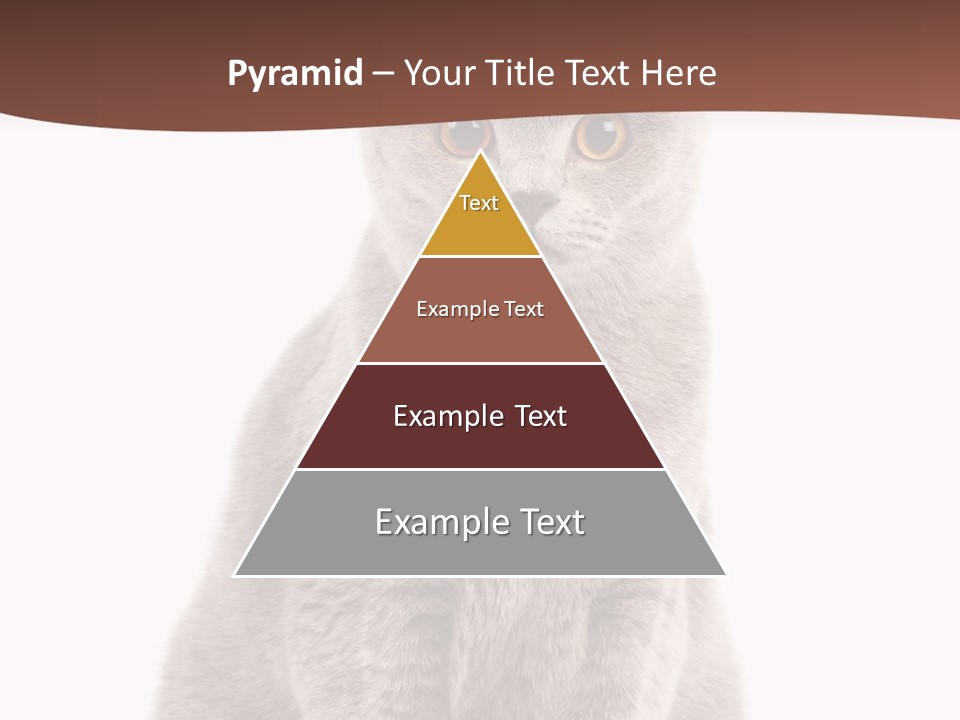 Beautiful Tail Feline PowerPoint Template