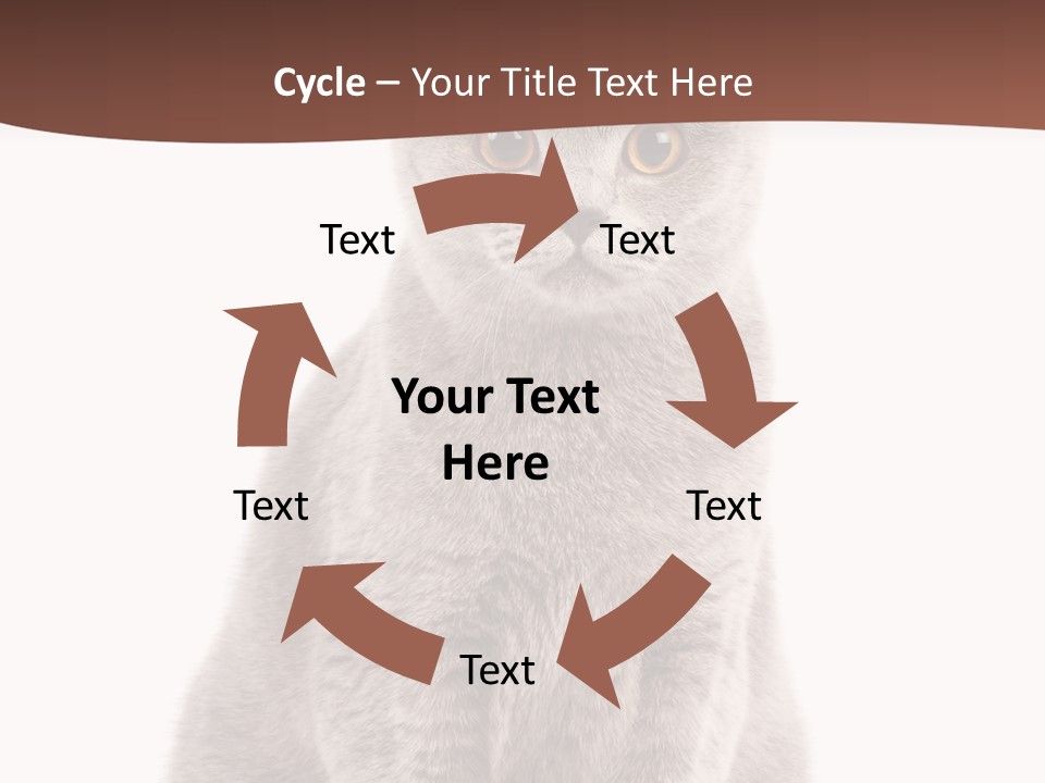 Beautiful Tail Feline PowerPoint Template