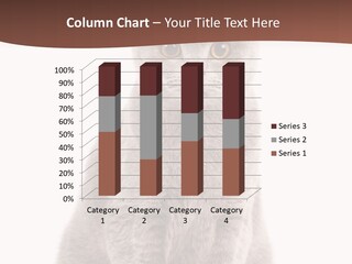 Beautiful Tail Feline PowerPoint Template