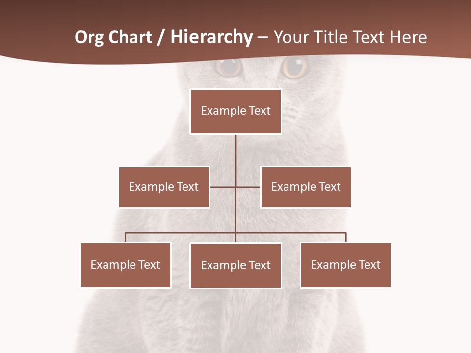 Beautiful Tail Feline PowerPoint Template