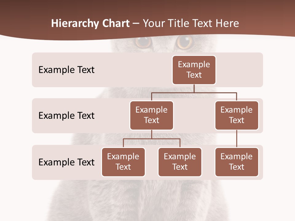 Beautiful Tail Feline PowerPoint Template