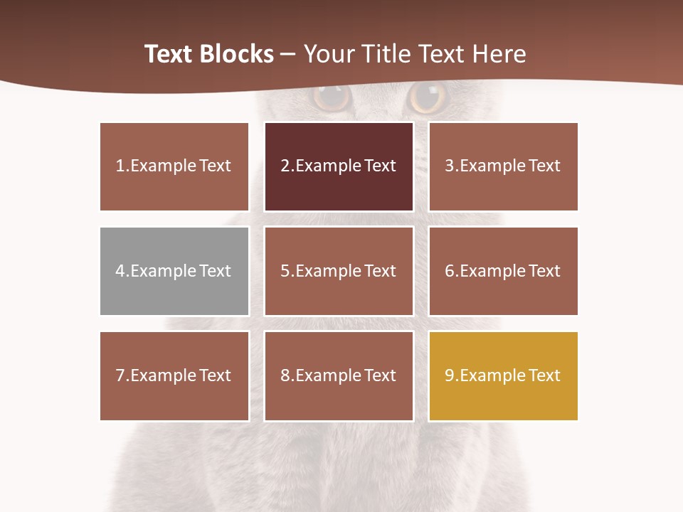 Beautiful Tail Feline PowerPoint Template