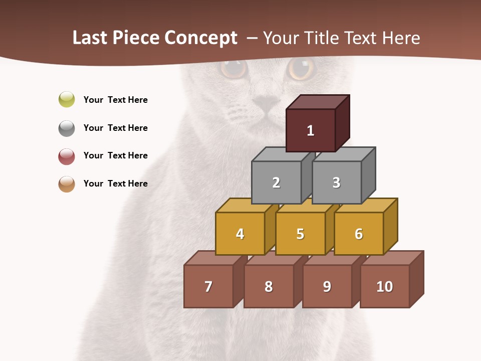 Beautiful Tail Feline PowerPoint Template