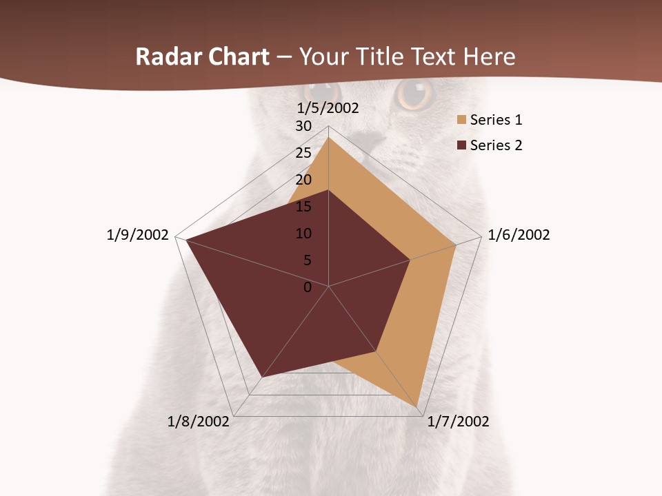 Beautiful Tail Feline PowerPoint Template