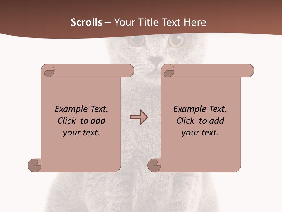 Beautiful Tail Feline PowerPoint Template