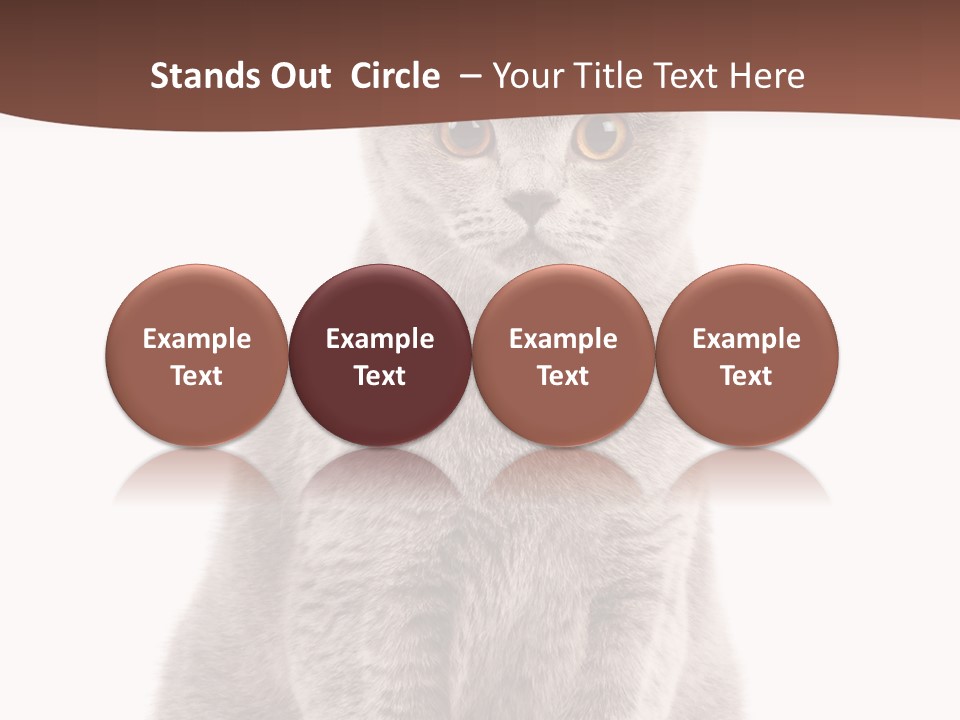 Beautiful Tail Feline PowerPoint Template