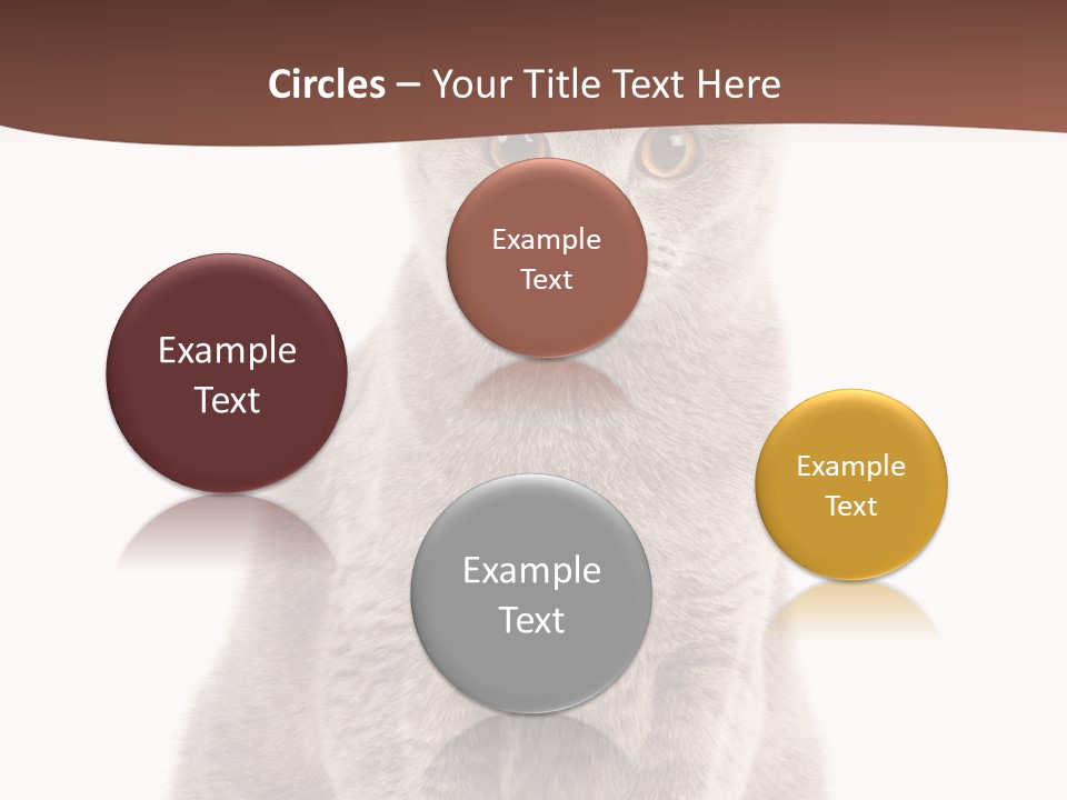 Beautiful Tail Feline PowerPoint Template