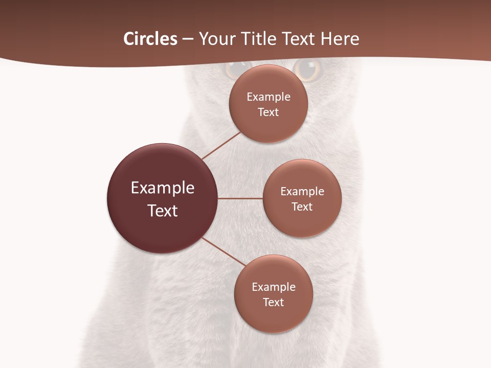 Beautiful Tail Feline PowerPoint Template