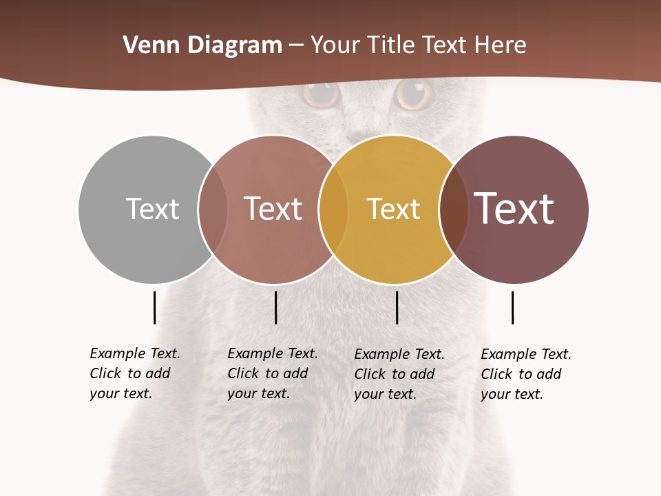 Beautiful Tail Feline PowerPoint Template