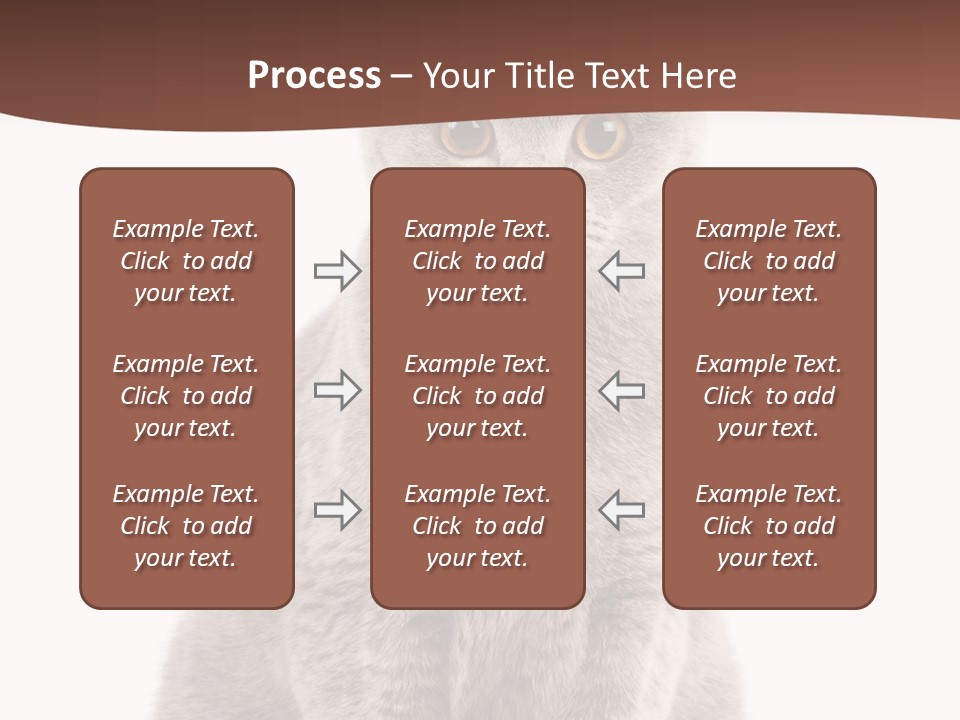 Beautiful Tail Feline PowerPoint Template