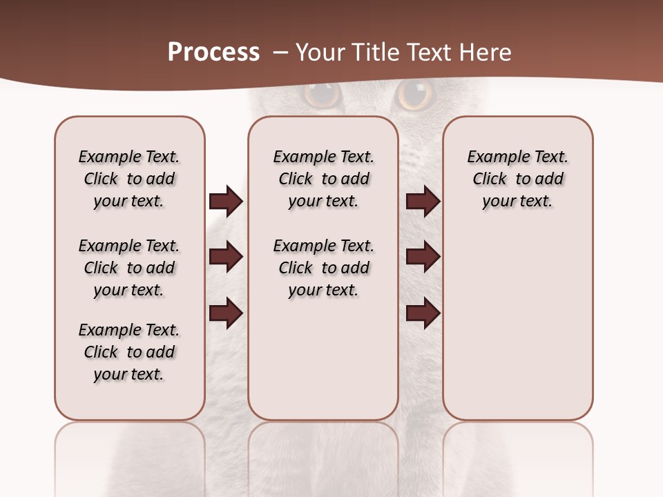 Beautiful Tail Feline PowerPoint Template