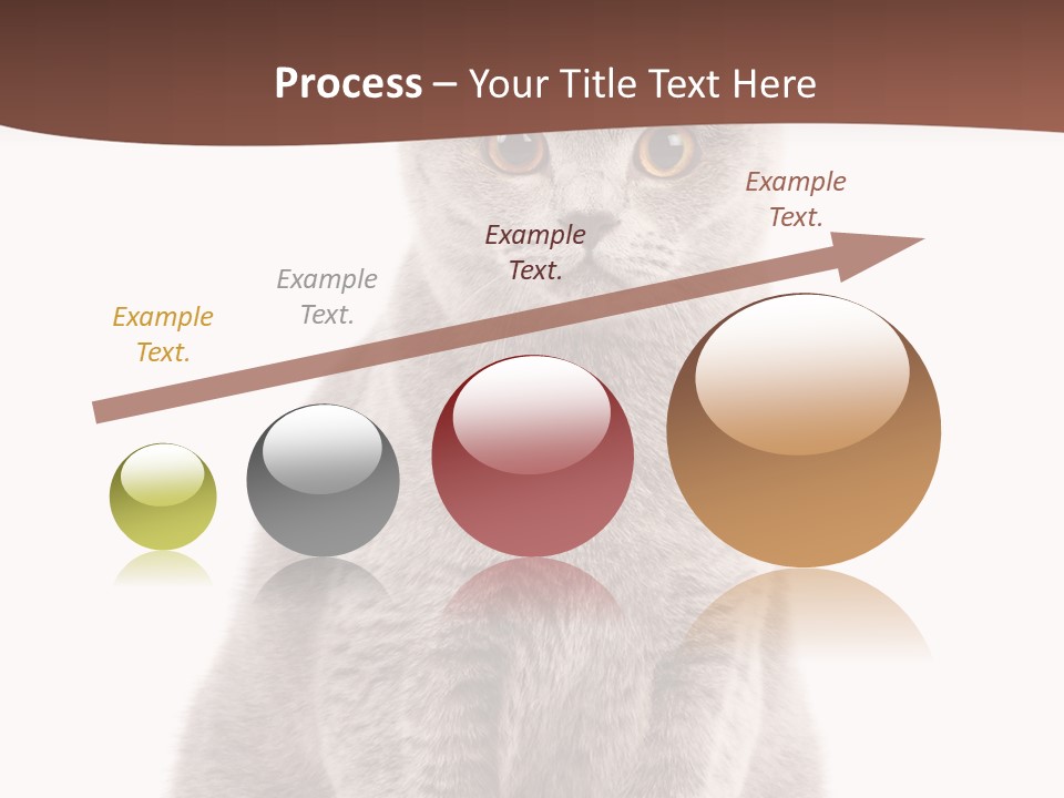 Beautiful Tail Feline PowerPoint Template