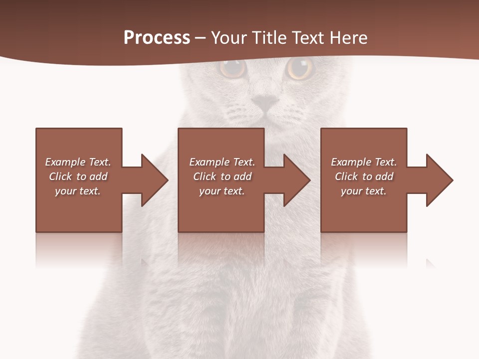 Beautiful Tail Feline PowerPoint Template