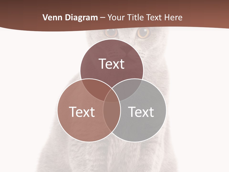 Beautiful Tail Feline PowerPoint Template