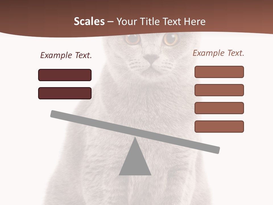 Beautiful Tail Feline PowerPoint Template