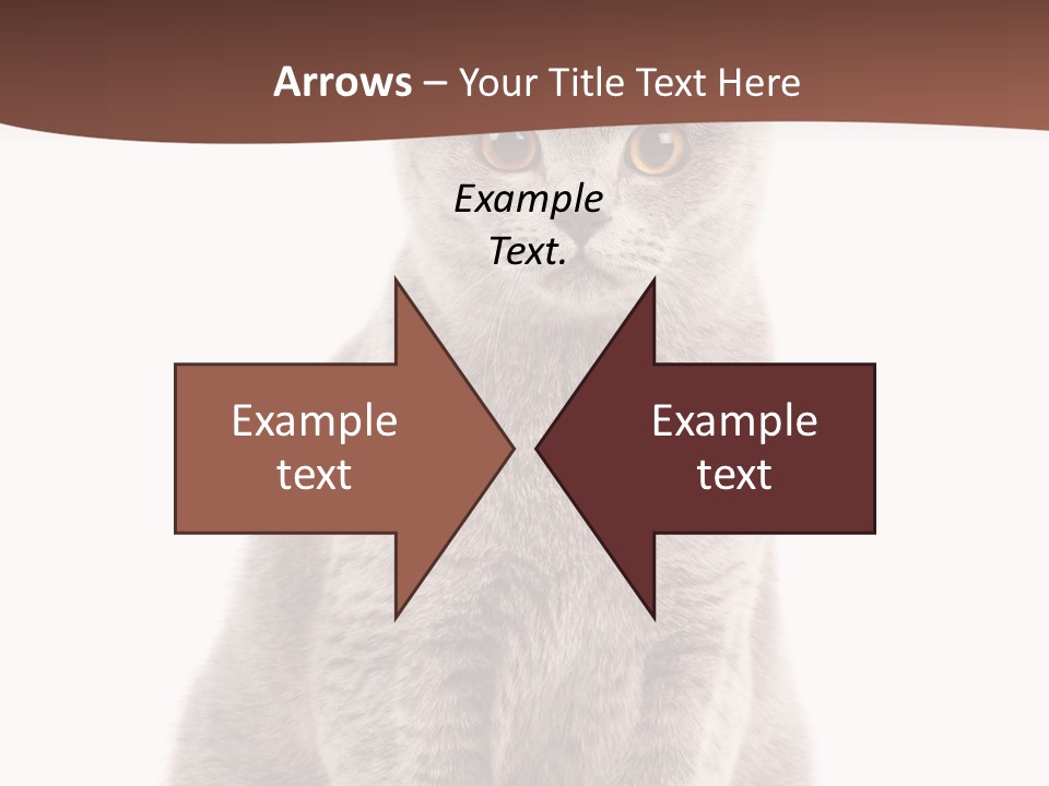 Beautiful Tail Feline PowerPoint Template