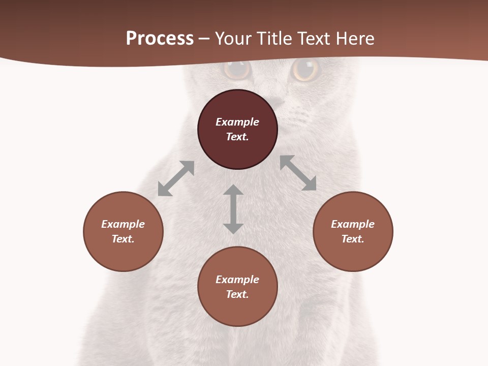 Beautiful Tail Feline PowerPoint Template