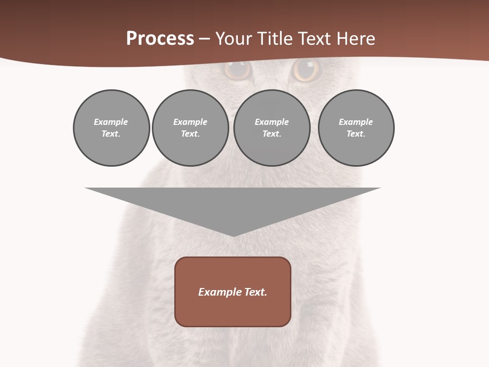 Beautiful Tail Feline PowerPoint Template